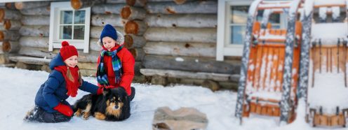 vinter hytte hund preisolert