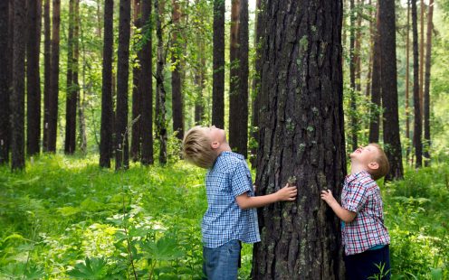 Children (boys, hands) hugging pine (tree), playing and having fun outdoor in summer forest (park). Environmental protection concept.