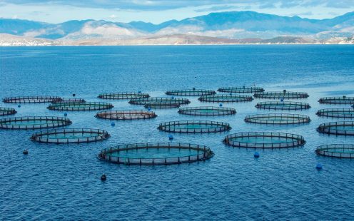 Aquaculture