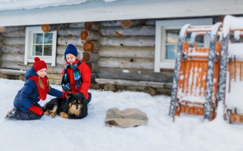 vinter hytte hund preisolert