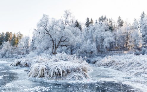 Winter landscape, river under the ice and tree branches covered with white frost