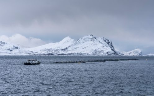 Fiske merd i Vengsøy vinter